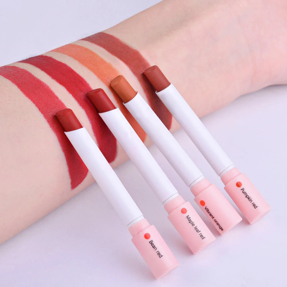 4 Colors Makeup Lipstick Cosmetics Lipstick Set Lip Tint Lip Gloss Waterproof Maquillaje Matt
